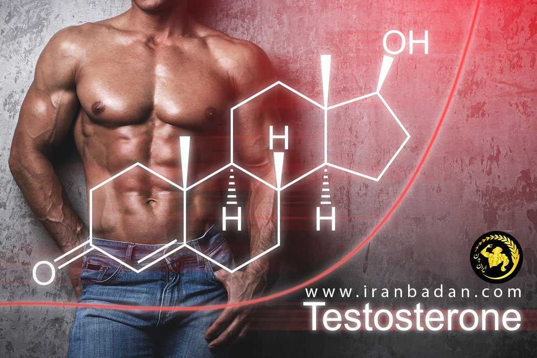 هورمون تستوسترون چیست؟